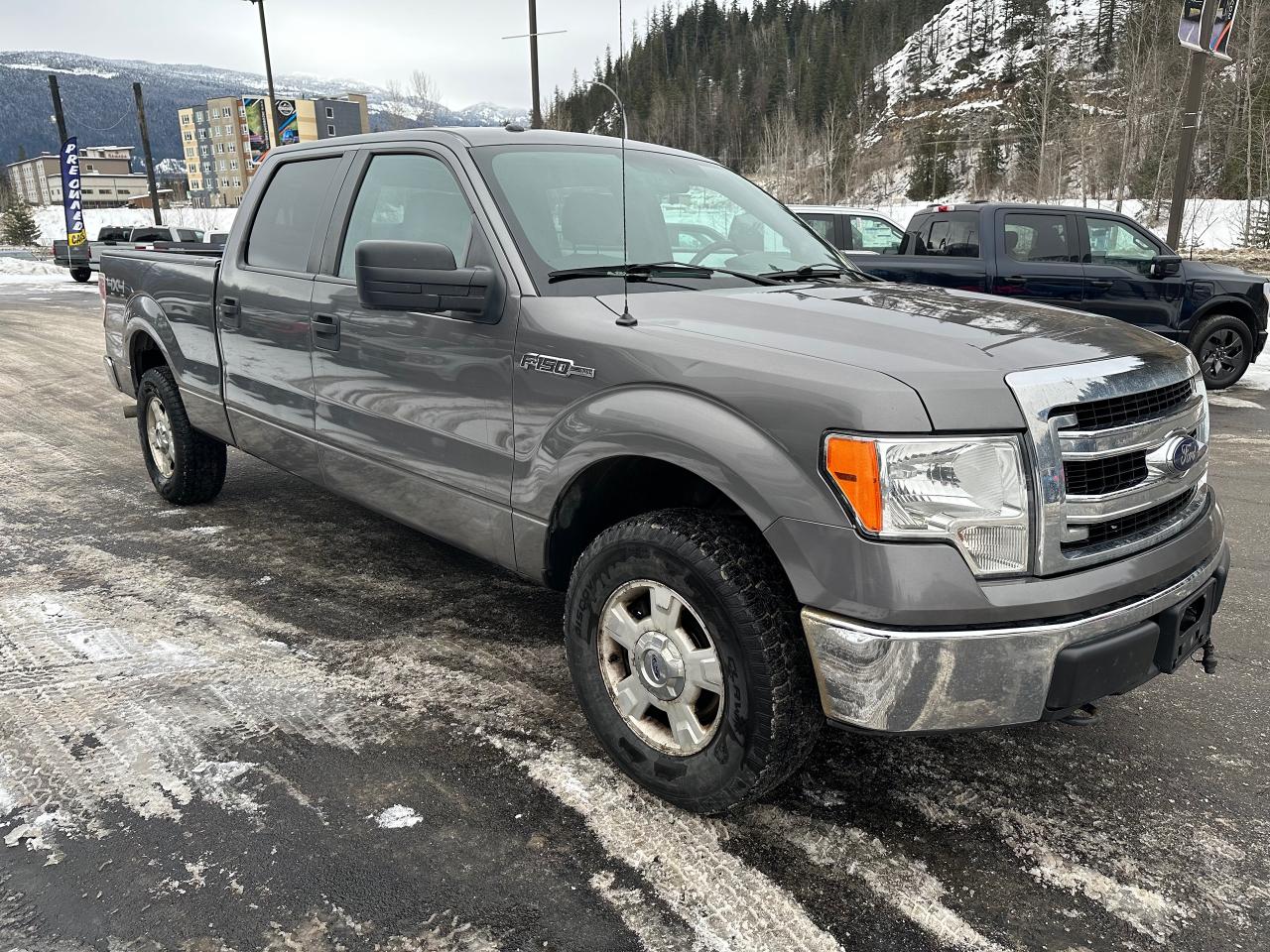 2013 Ford F-150 F150 Photo