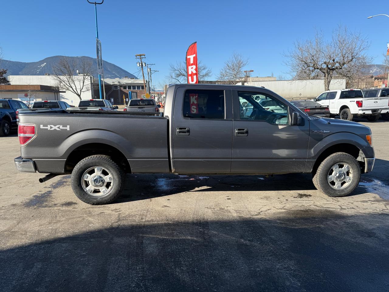 2013 Ford F-150 XLT Photo5