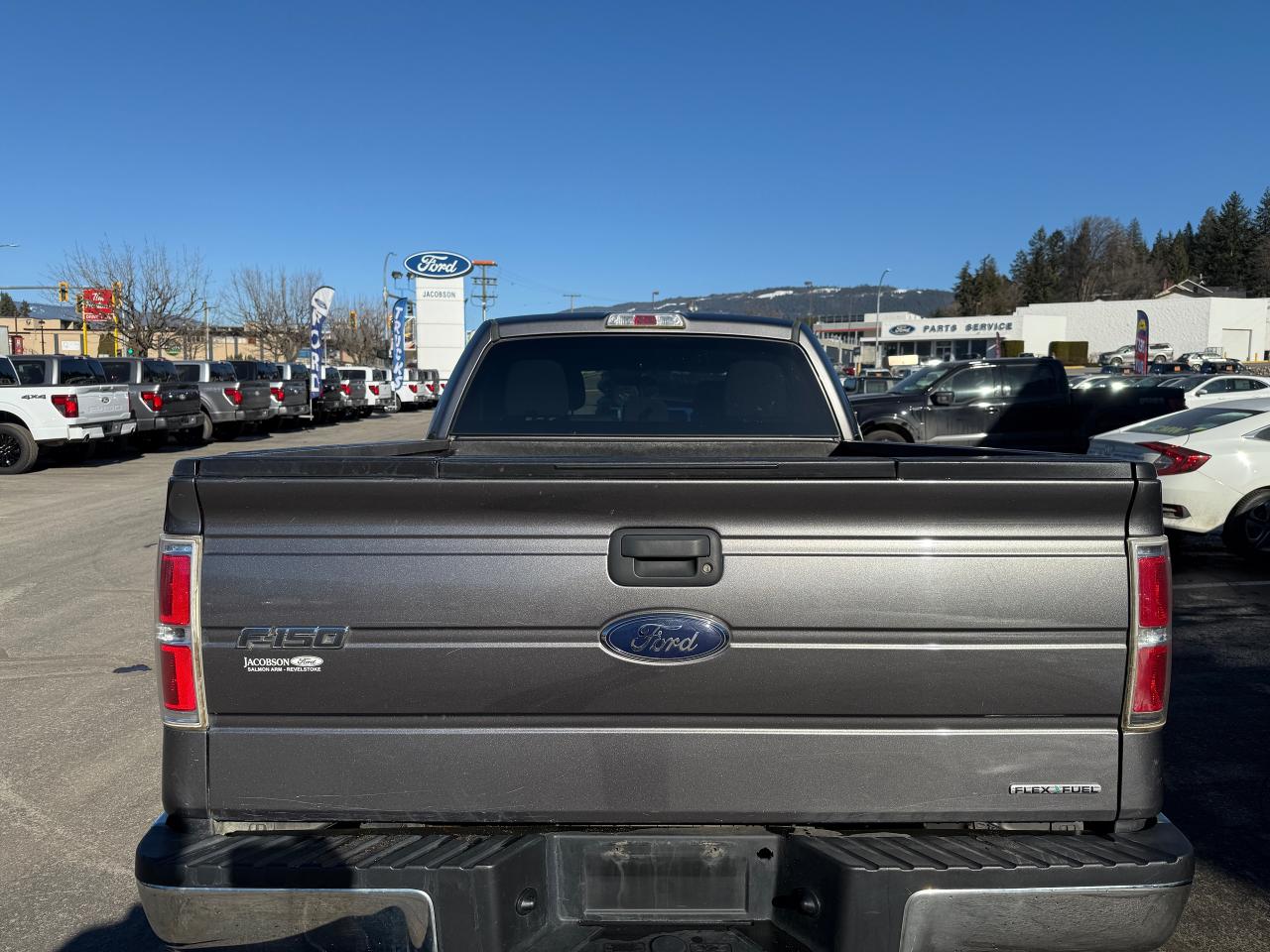 2013 Ford F-150 XLT Photo