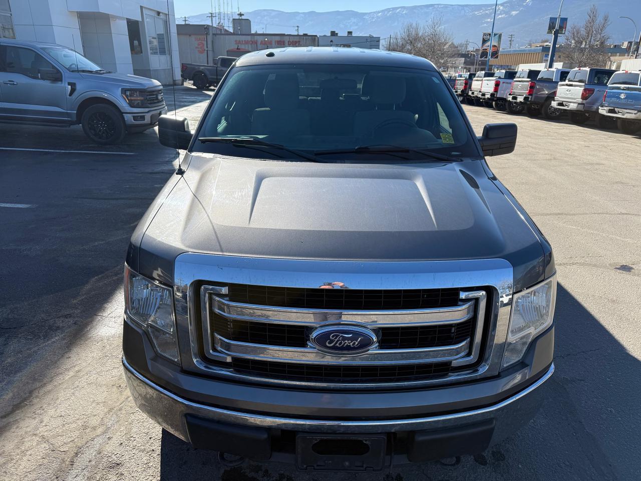 2013 Ford F-150 XLT Photo5