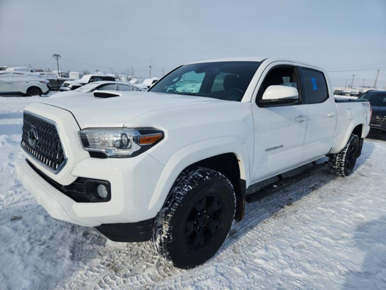 Used 2019 Toyota Tacoma TRD Sport | Double Cab | V6 | 4WD | Heated Seats | Nav | Rear Camera | and more! for sale in Guelph, ON