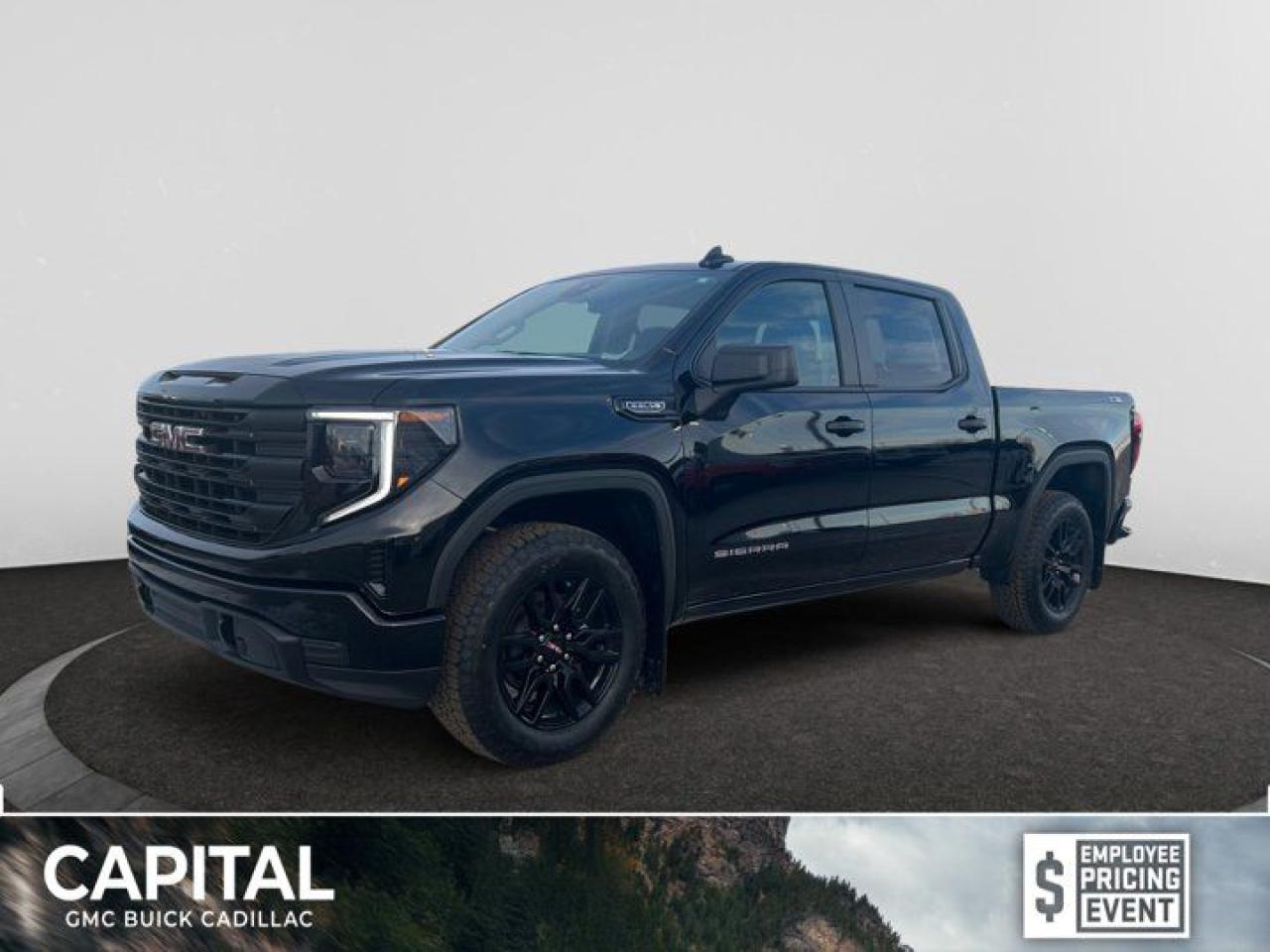 New 2025 GMC Sierra 1500 PRO for sale in Regina, SK