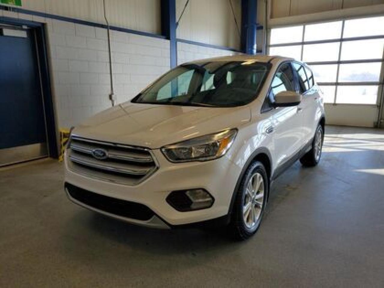 Used 2019 Ford Escape SE for sale in Moose Jaw, SK