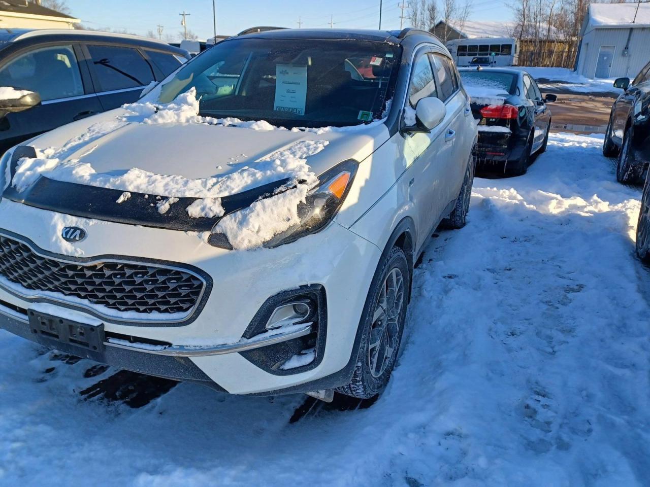 Used 2020 Kia Sportage EX for sale in Charlottetown, PE