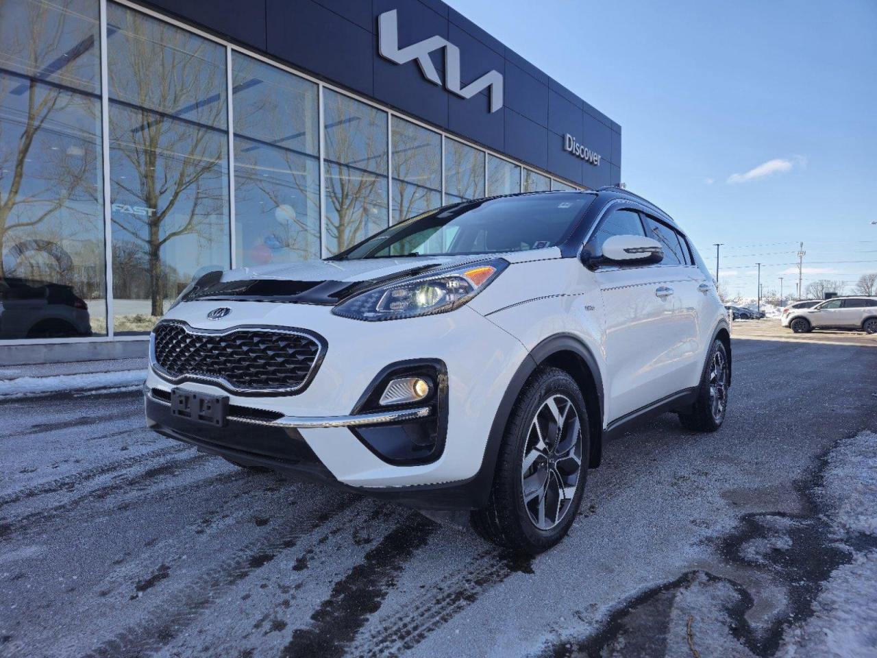 Used 2020 Kia Sportage EX for sale in Charlottetown, PE