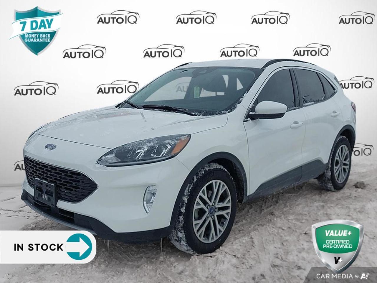 Used 2022 Ford Escape SEL - FORD CO-PILOT ASSIST for sale in Hamilton, ON