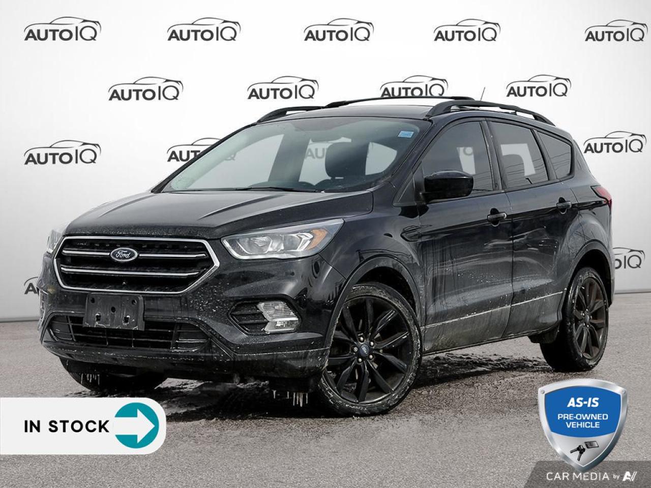 Used 2019 Ford Escape SE SPORT APPEARANCE PKG | CARPLAY | SELLING AS-IS! for sale in St Catharines, ON