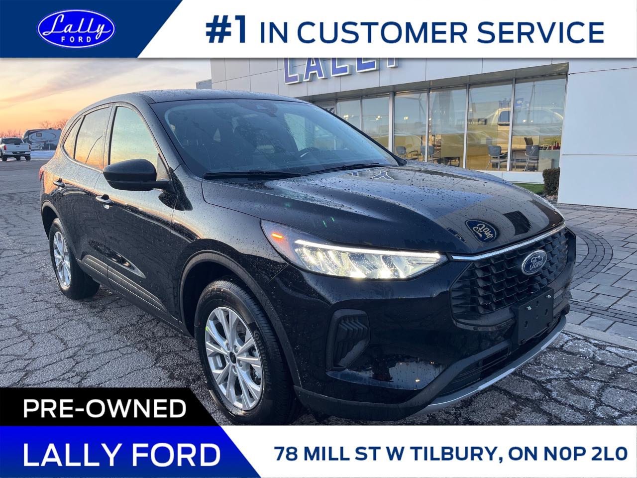Used 2025 Ford Escape Active for sale in Tilbury, ON