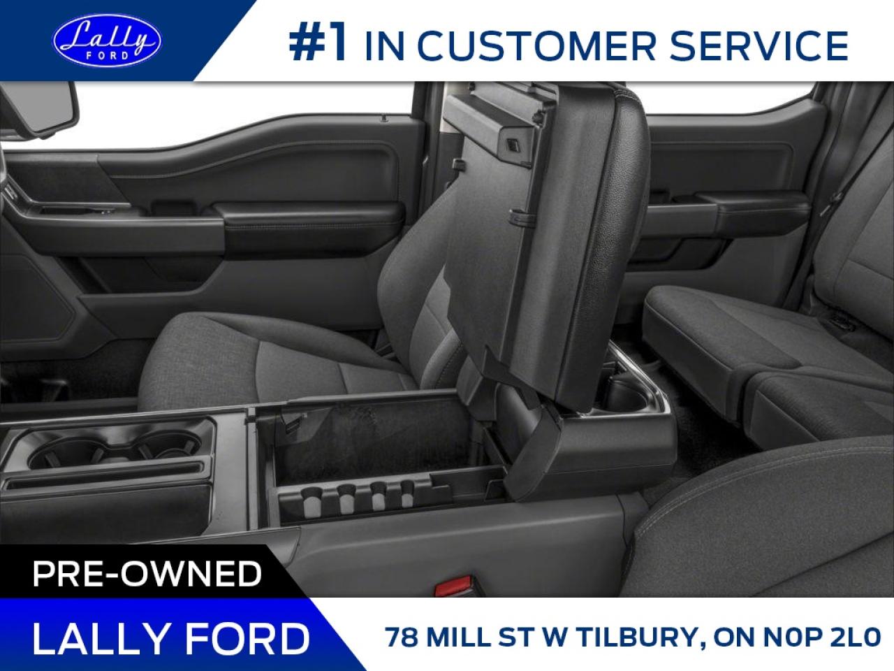 2025 Ford F-150 XLT Photo