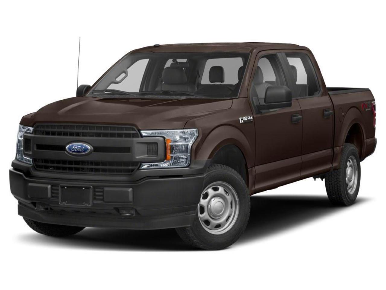 Used 2019 Ford F-150 XLT for sale in Pincher Creek, AB