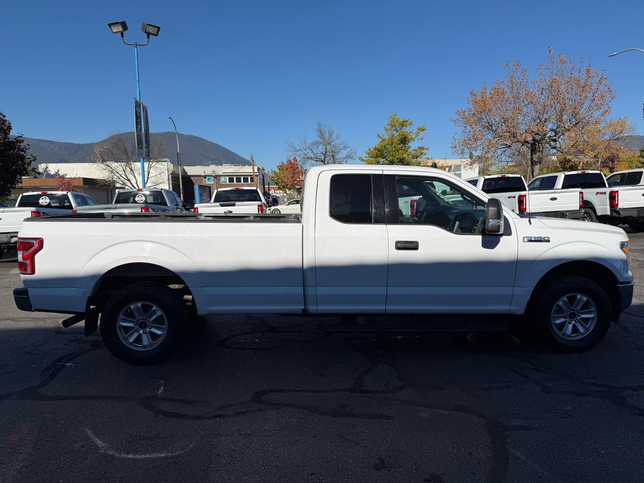 2020 Ford F-150 XLT Photo5
