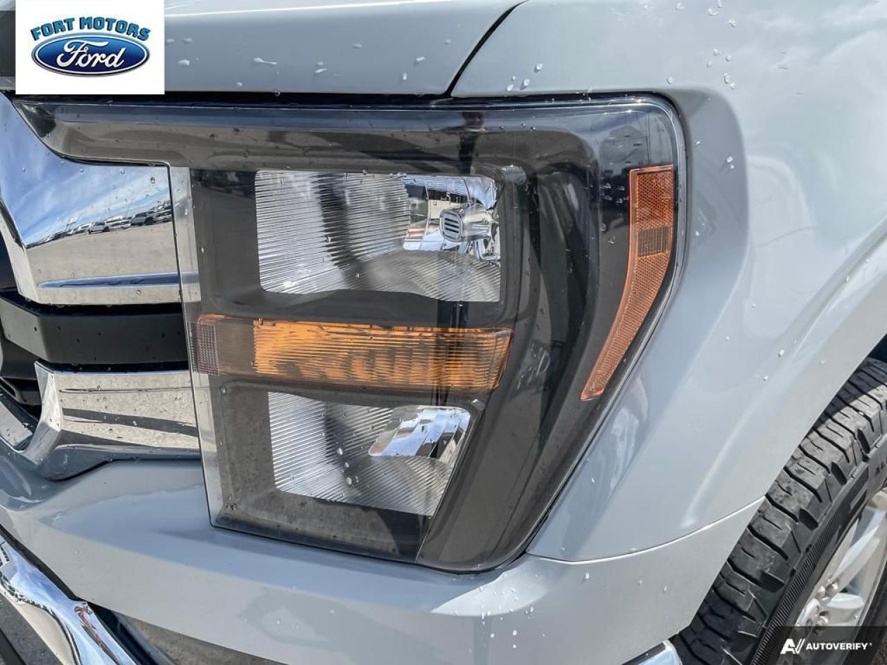 2023 Ford F-150 XLT Photo5