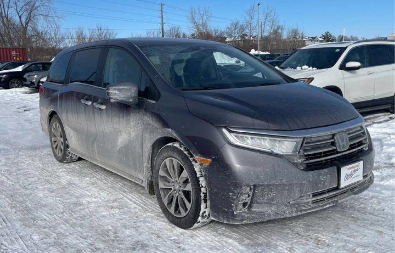 Used 2022 Honda Odyssey EX-L | Leather | Sunroof | Nav | Heated Steering + Seats | Power Sliding Doors | CarPlay + Android | for sale in Guelph, ON