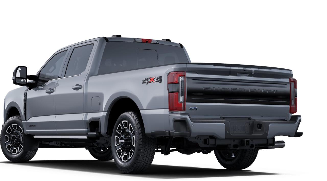 2025 Ford F-350 Super Duty SRW PLATINUM Photo