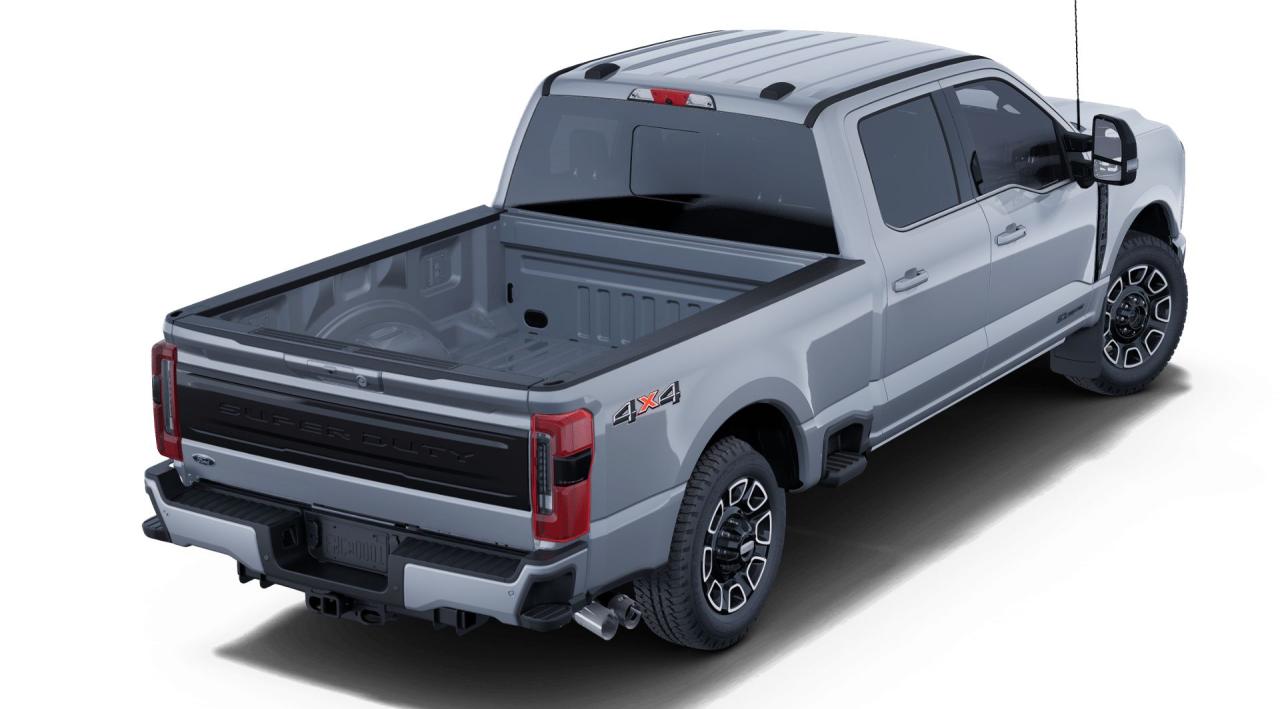 2025 Ford F-350 Super Duty SRW PLATINUM Photo5