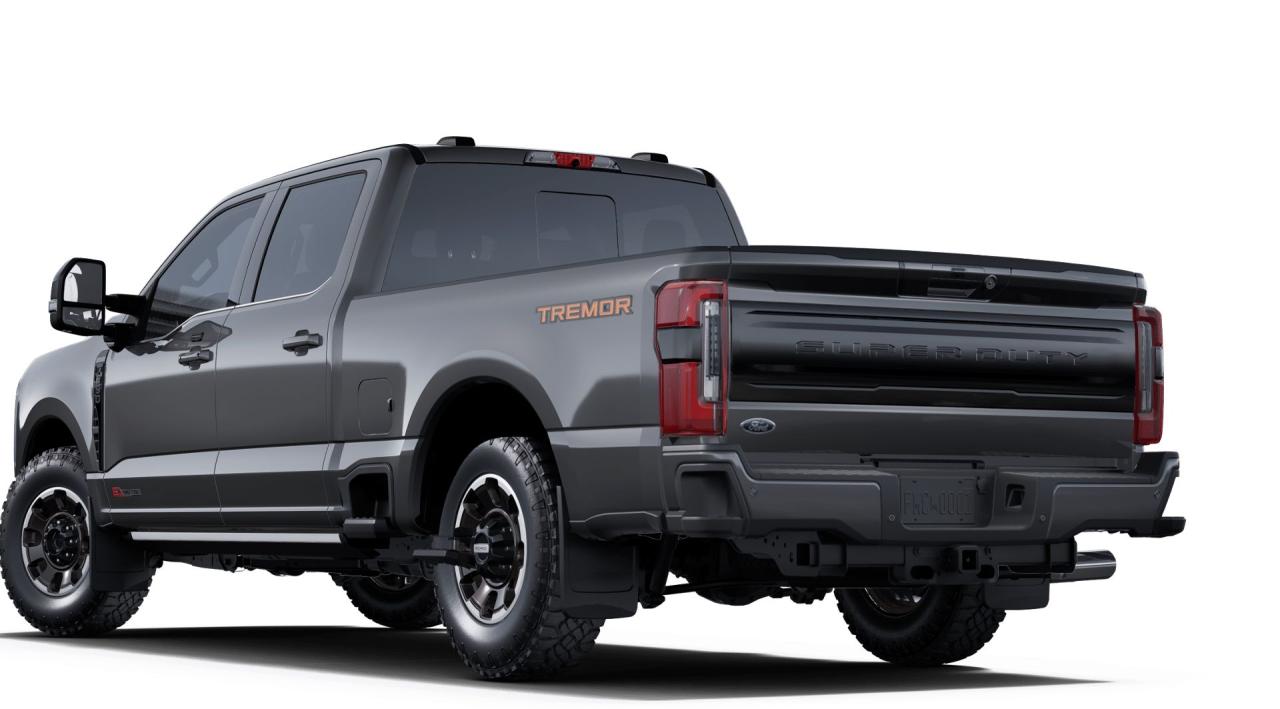 2025 Ford F-350 4X4 CREW CAB PICKUP/ Photo5