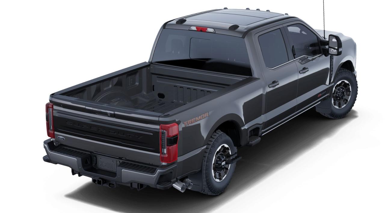 2025 Ford F-350 4X4 CREW CAB PICKUP/ Photo5
