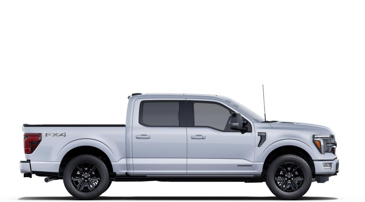 2025 Ford F-150 4x4 Platinum-145 Photo5