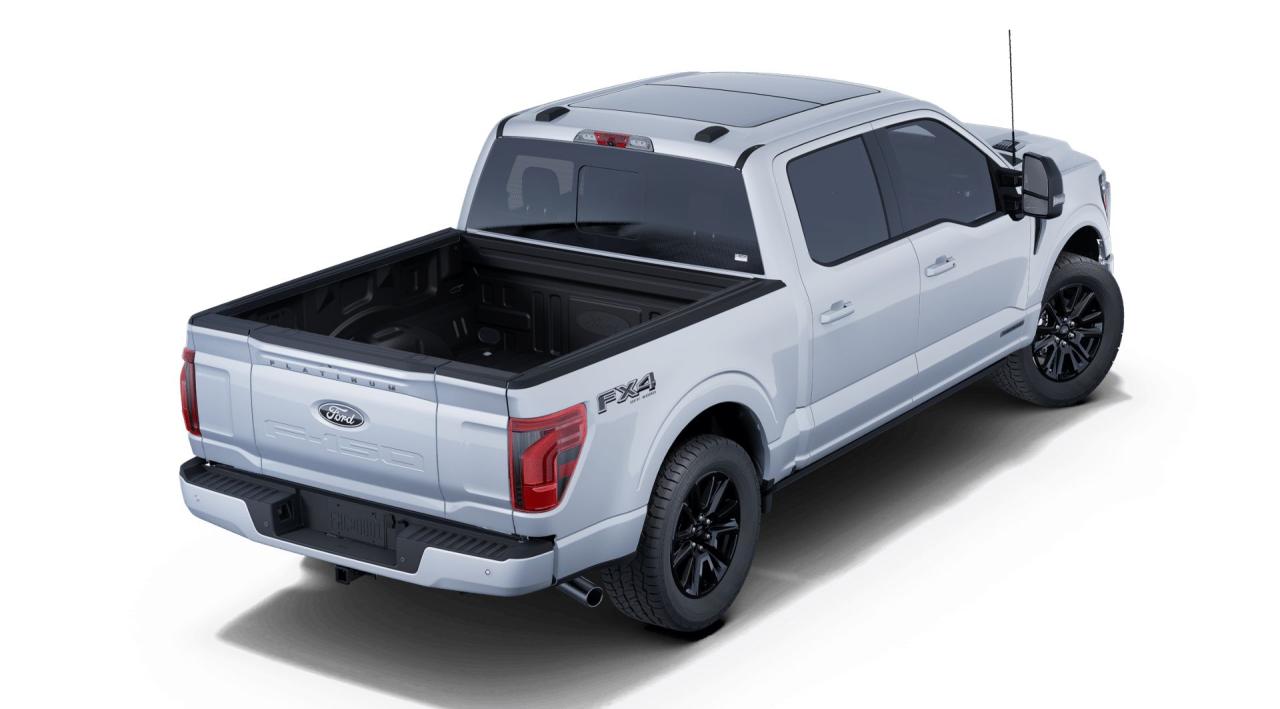 2025 Ford F-150 4x4 Platinum-145 Photo5