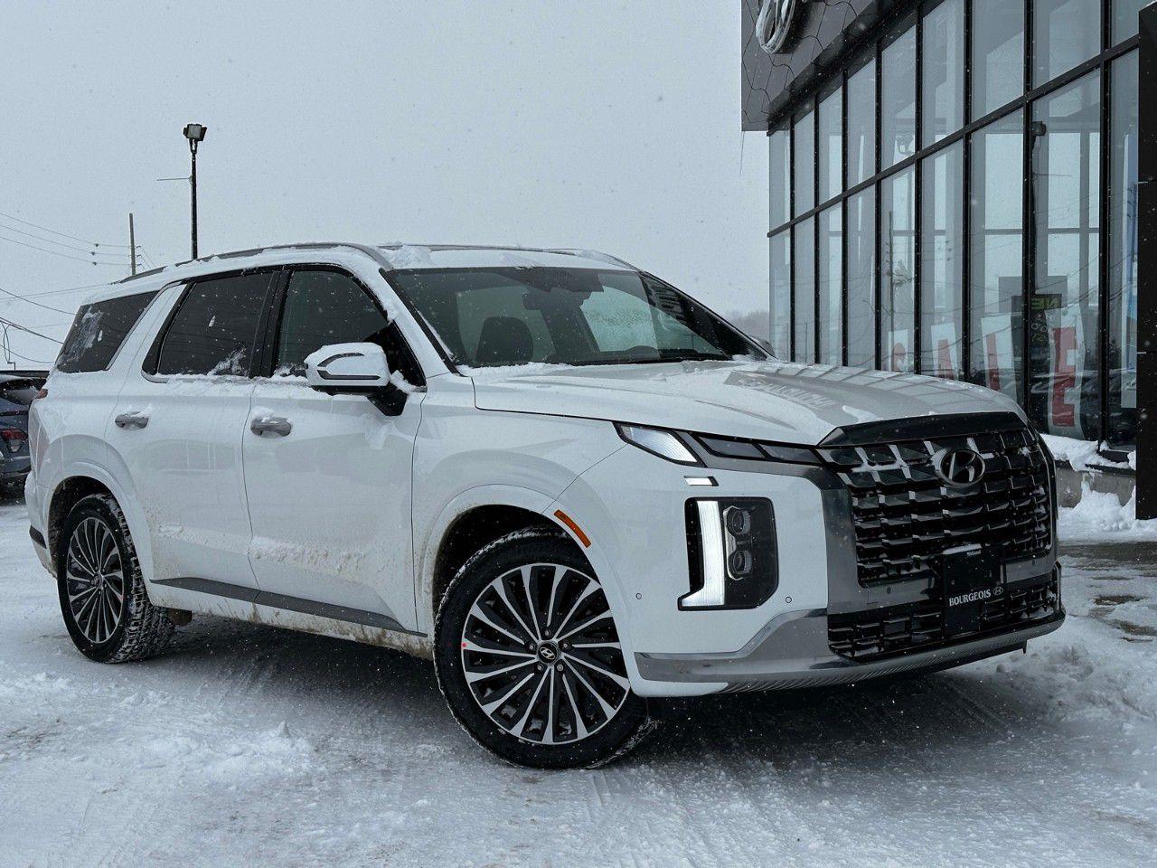 New 2025 Hyundai PALISADE Ultimate Calligraphy 7-Passenger AWD for sale in Midland, ON