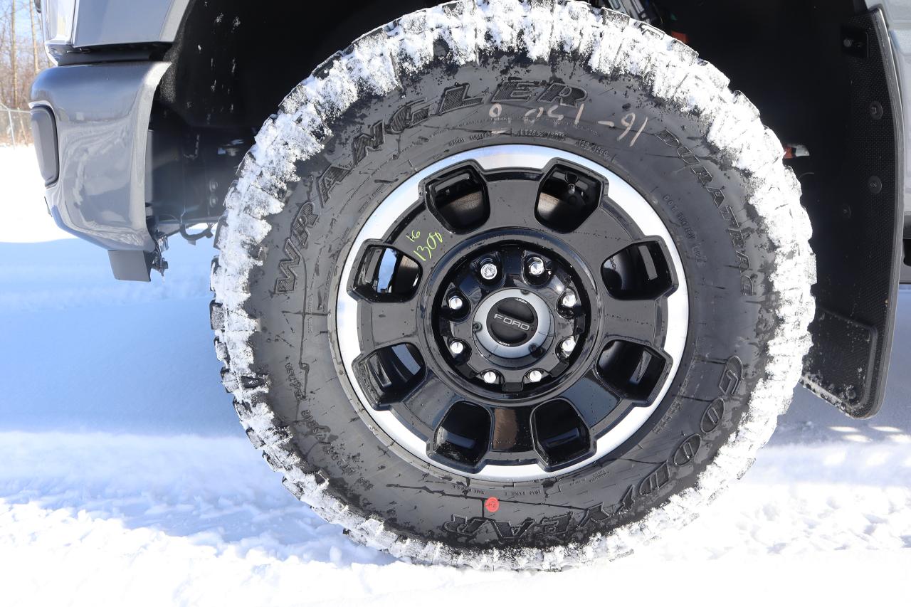 2025 Ford F-350 Super Duty SRW PLATINUM Photo2