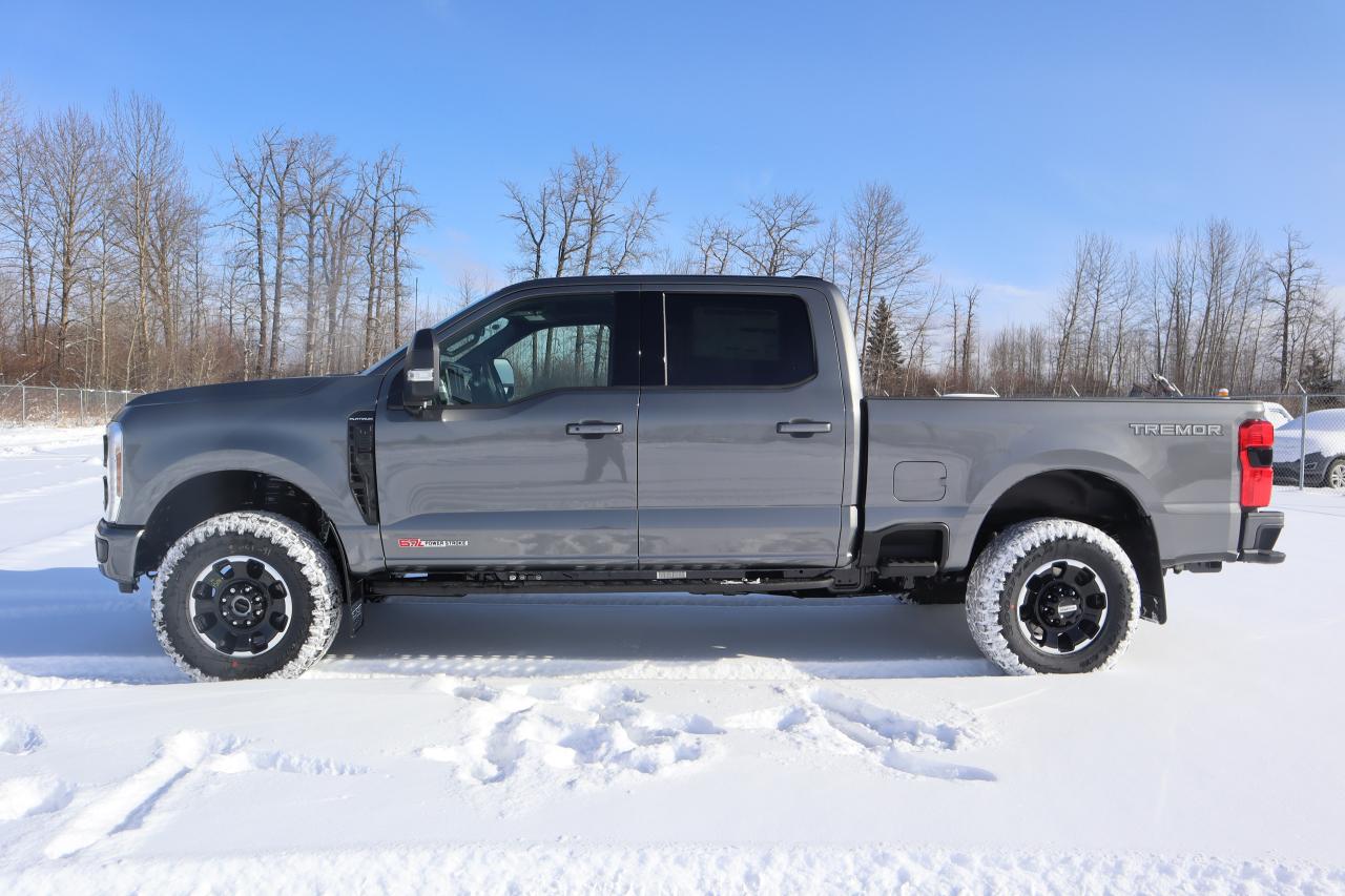 2025 Ford F-350 Super Duty SRW PLATINUM Photo3