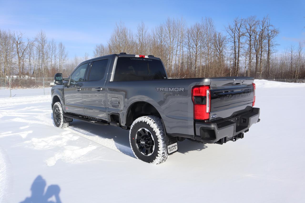 2025 Ford F-350 Super Duty SRW PLATINUM Photo4