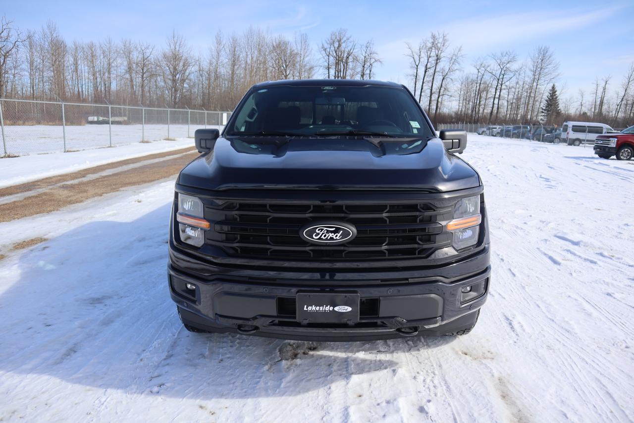 2025 Ford F-150 XLT Photo5