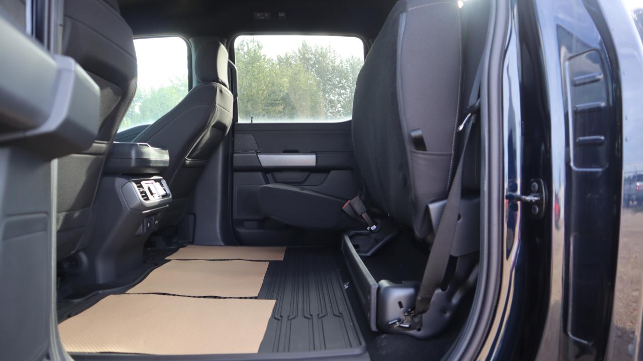 2025 Ford F-150 XLT Photo5
