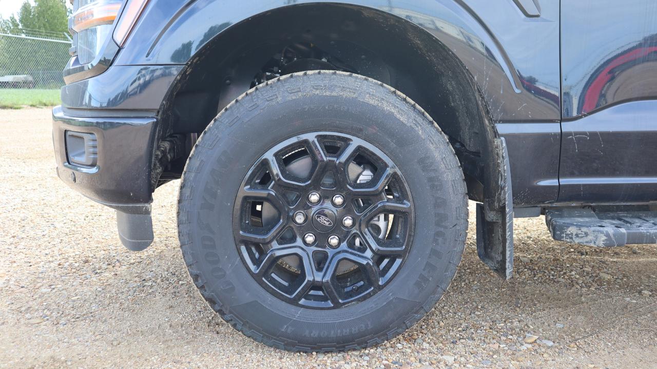 2025 Ford F-150 XLT Photo5