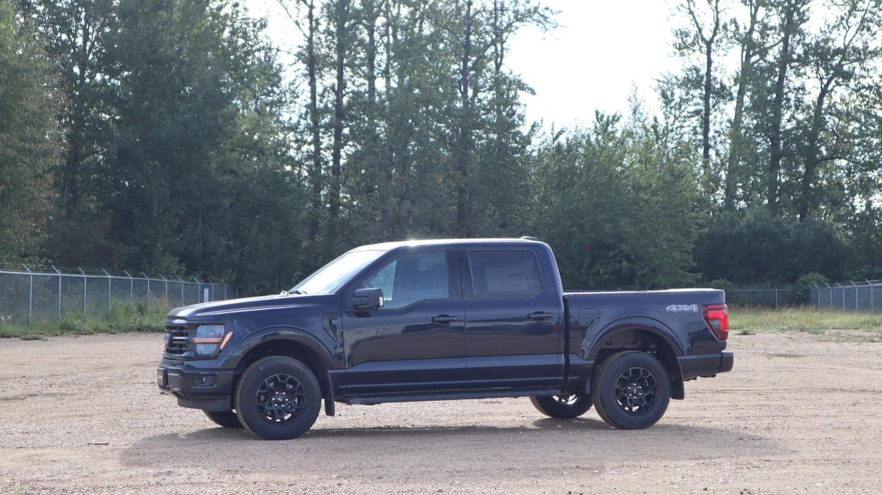 2025 Ford F-150 XLT Photo0