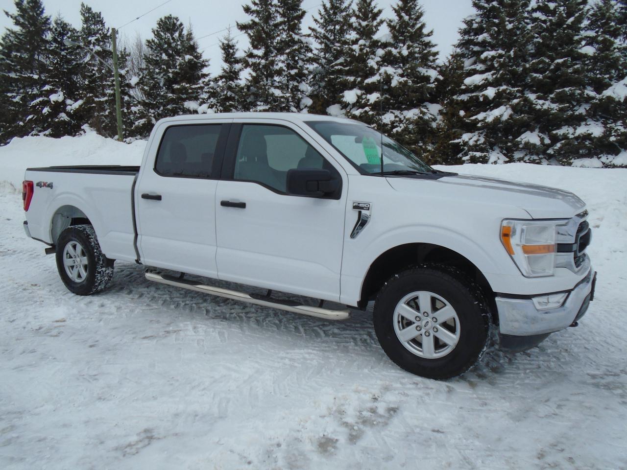 Used 2022 Ford F-150 XLT SUPER CREW 5 LITRE 6 1/2 BOX 4X4 for sale in Beaverton, ON