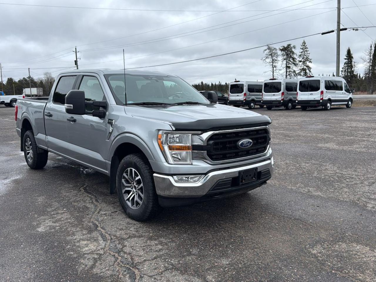 2022 Ford F-150 XLT Photo