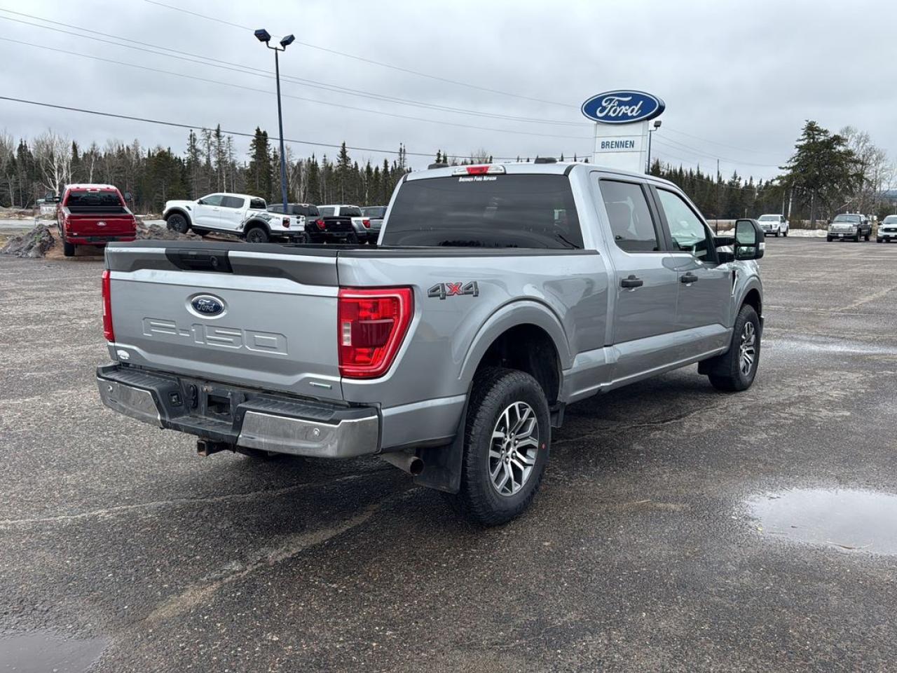 2022 Ford F-150 XLT Photo
