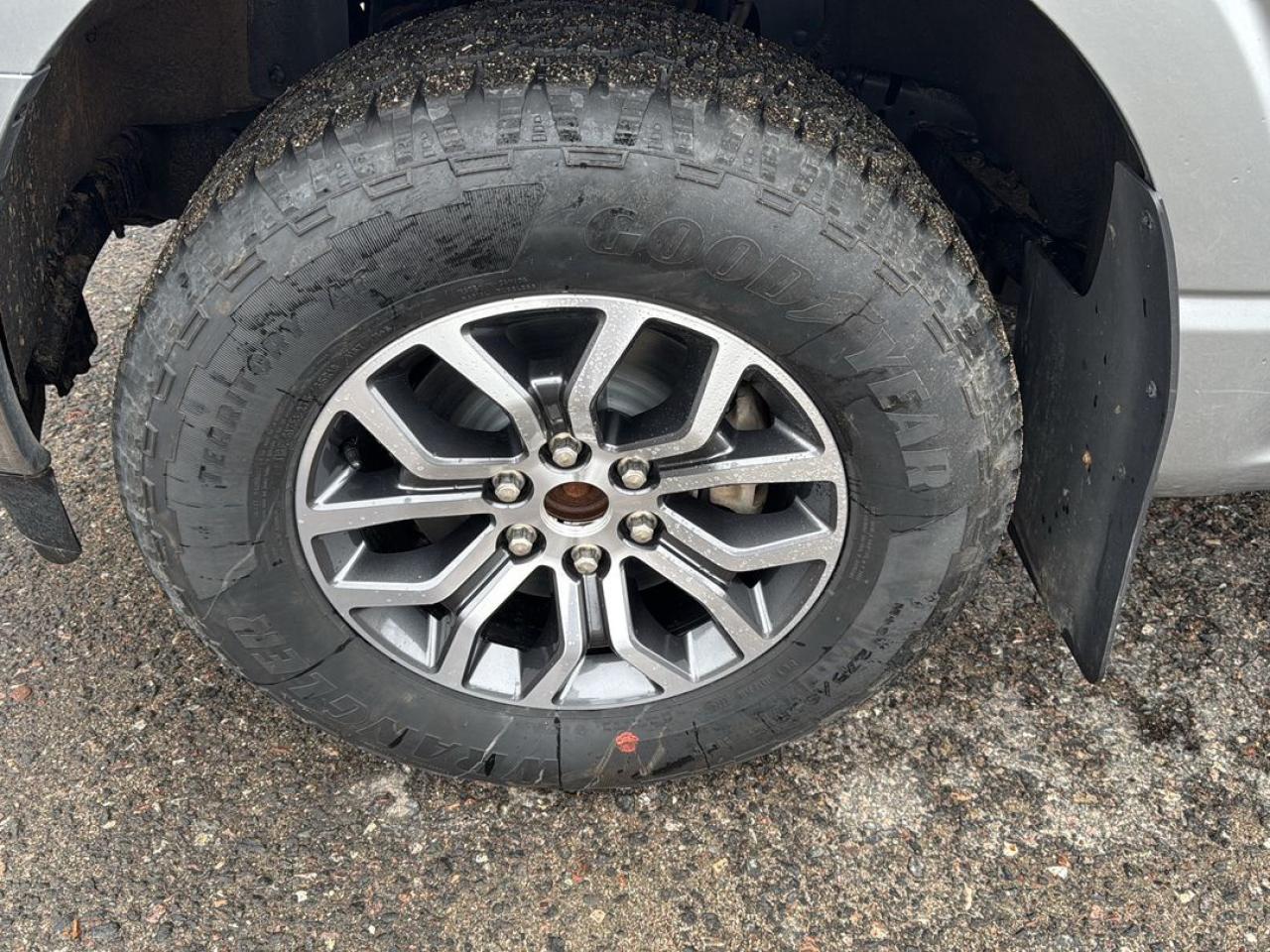 2022 Ford F-150 XLT Photo