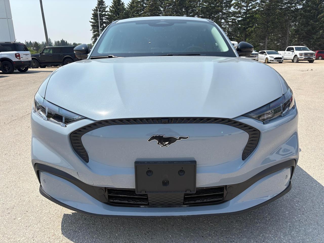 2025 Ford Mustang Mach-E Select AWD Photo2