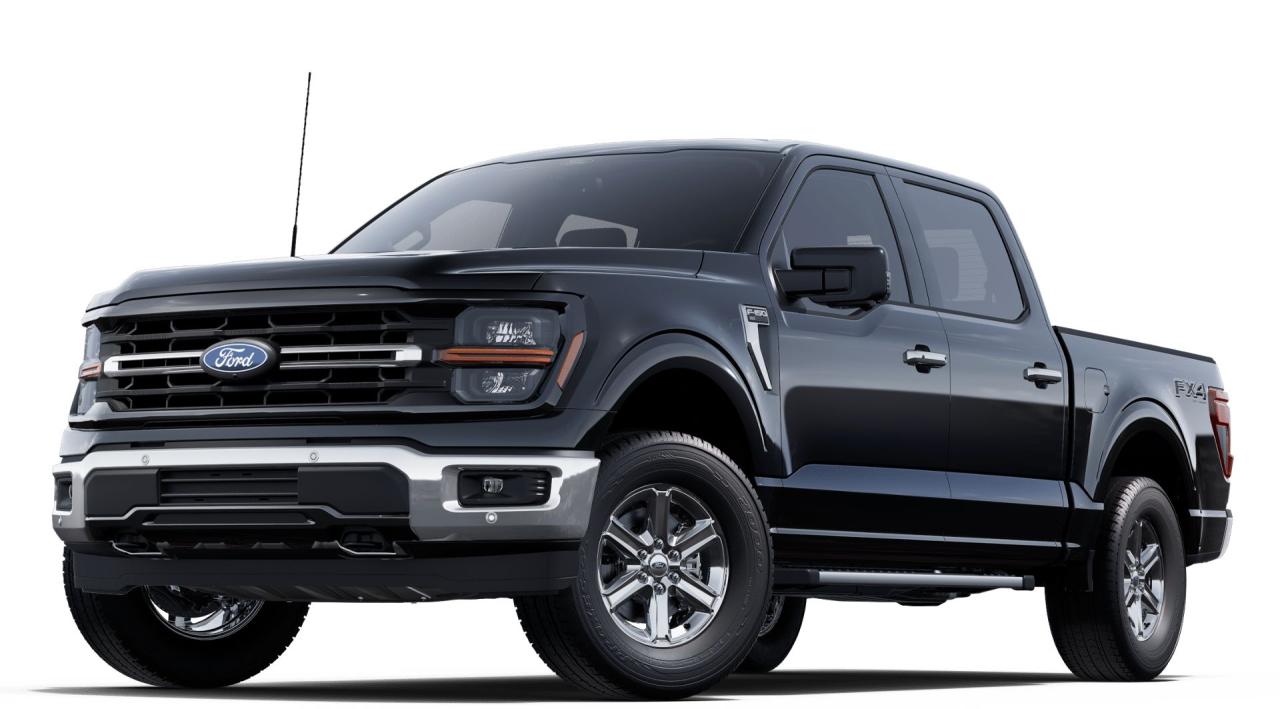 2025 Ford F-150 XLT 4WD SuperCrew 5.5' Box Photo0