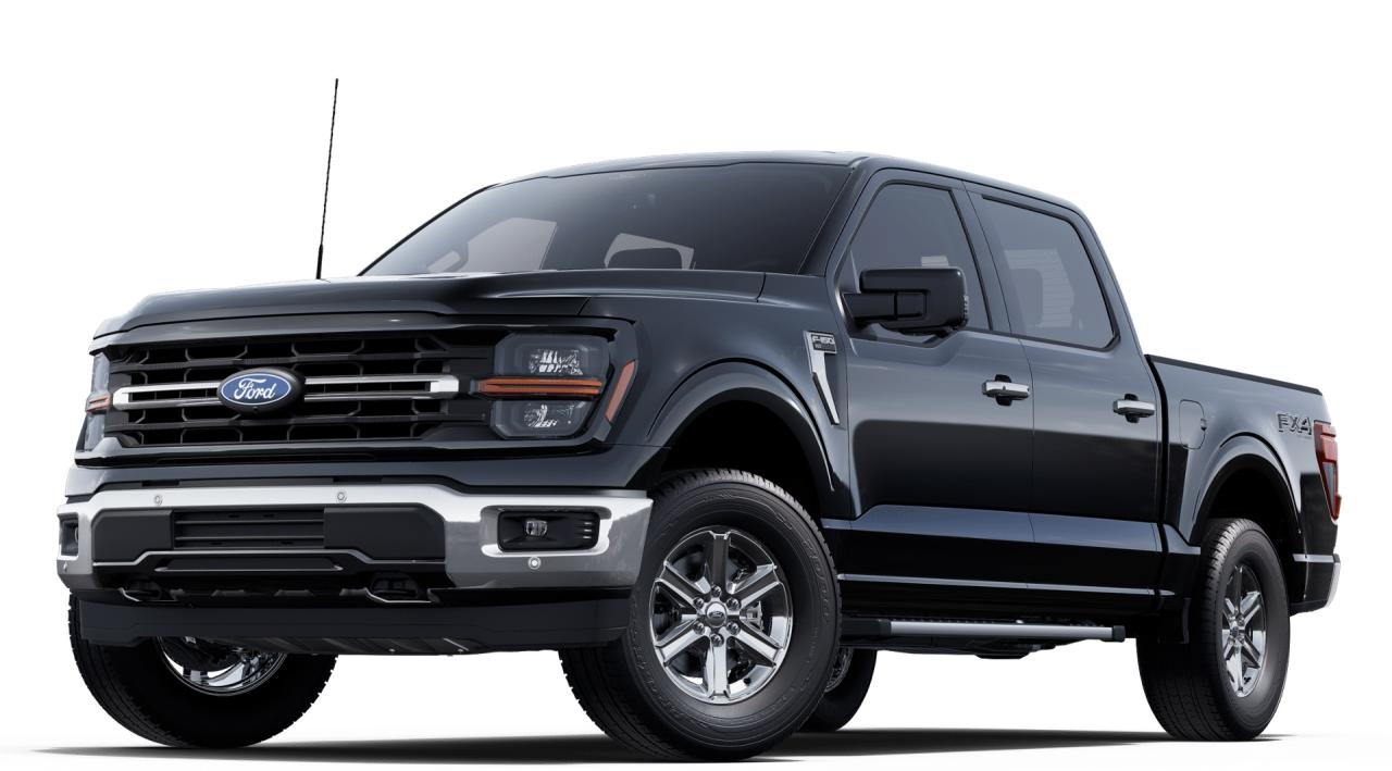 2025 Ford F-150 XLT 4WD SuperCrew 5.5' Box Photo0