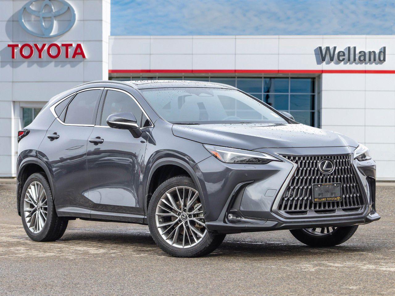 Used 2022 Lexus NX 350 for sale in Welland, ON