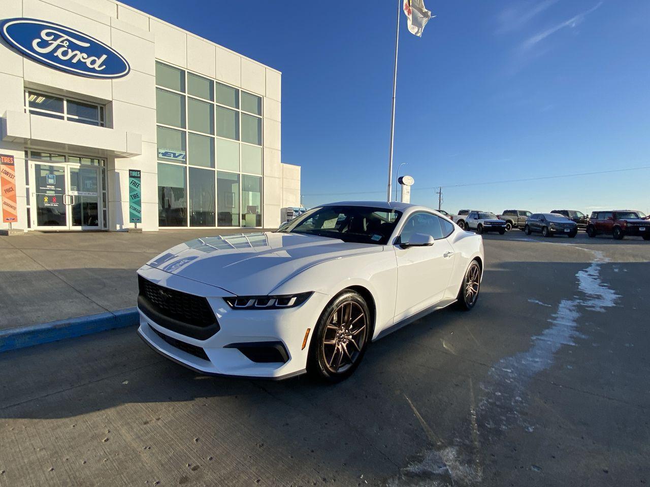 2024 Ford Mustang EcoBoost Premium Fastback Photo0