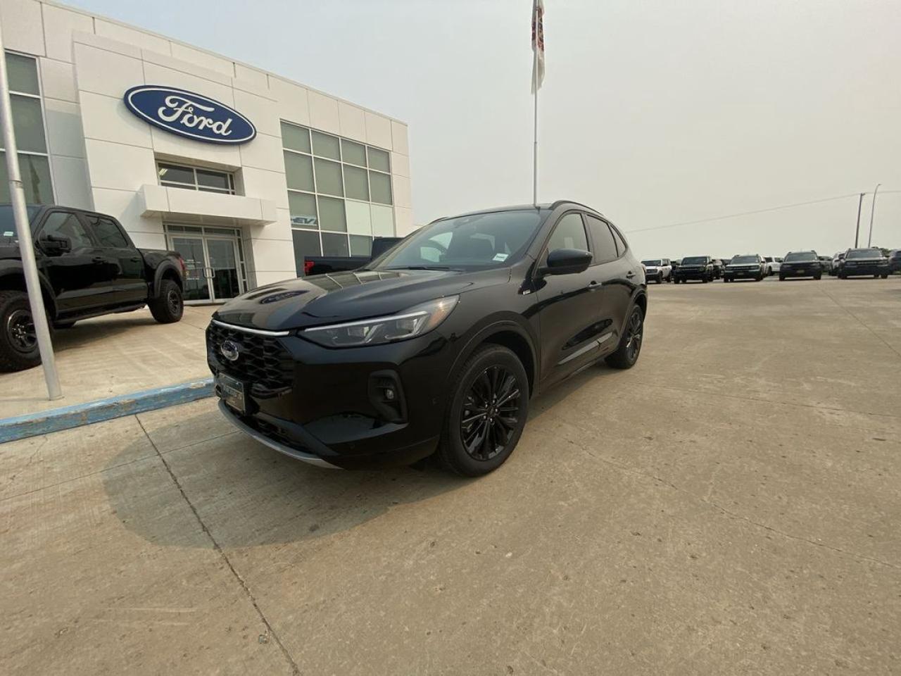 New 2024 Ford Escape ST-Line Elite for sale in Wainwright, AB