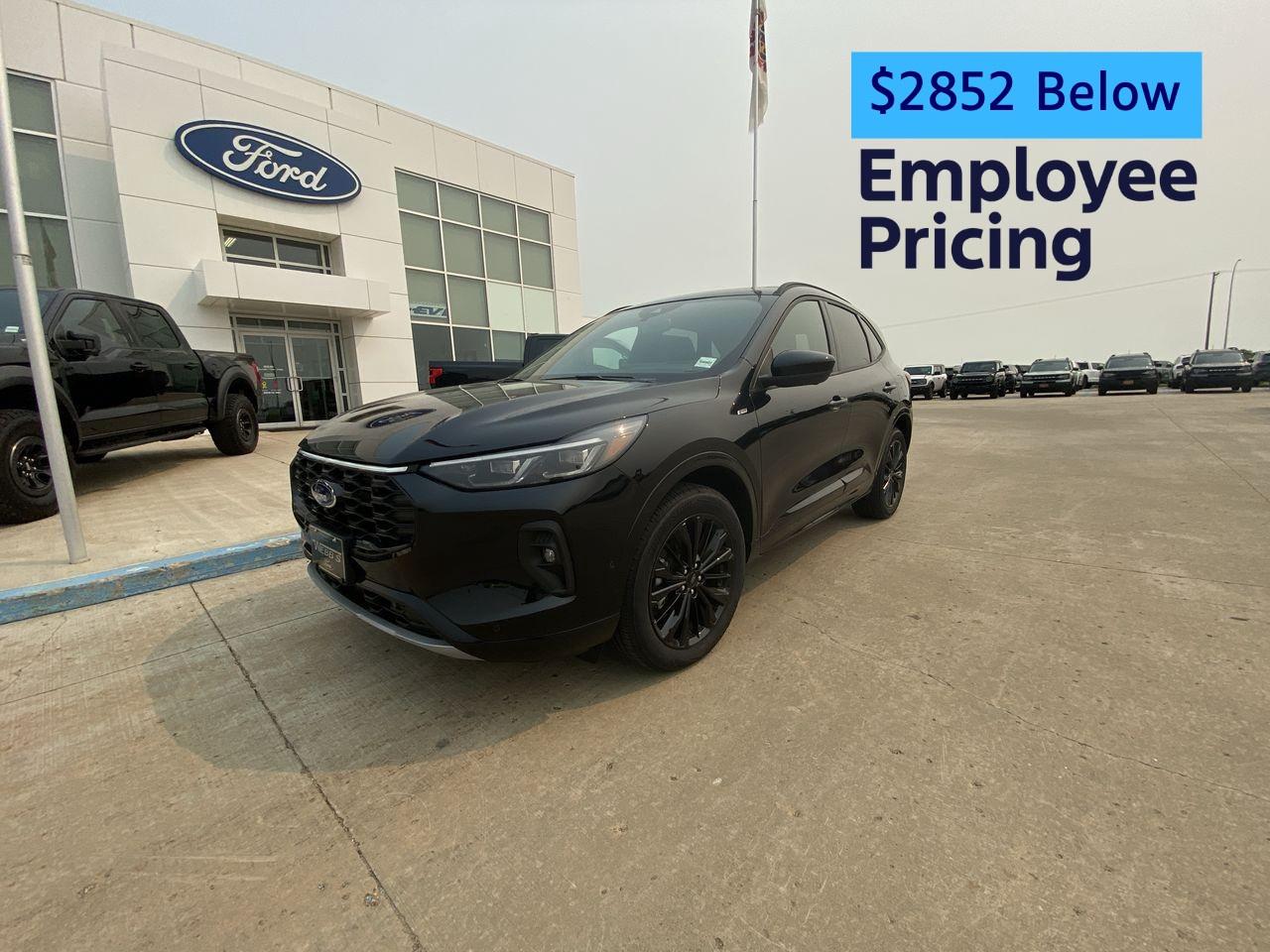 New 2024 Ford Escape ST-Line Elite AWD for sale in Wainwright, AB