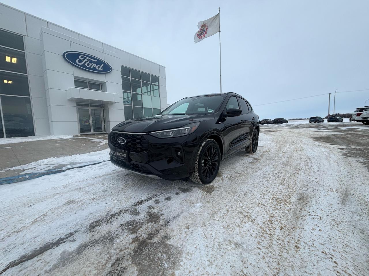 <p>Get ready to turn heads with this sleek and powerful 2024 Ford Escape ST-Line Elite AWD, now available at Webbs 1441! This brand new SUV boasts a commanding presence with its Agate Black exterior and a luxurious Ebony interior featuring heated leather-trimmed front sport contour seats. The Escape ST-Line Elite is built for adventure, equipped with a robust 2.0L EcoBoost engine paired with an 8-speed automatic transmission and all-wheel drive for confident handling in any condition.</p><p>&nbsp;</p><p>Step inside and experience the premium technology package, complete with a panoramic vista roof that floods the cabin with natural light. The Escape ST-Line Elite is designed for both comfort and practicality, featuring an easy access cargo shade and a Class II trailer tow package for hauling your gear. This is more than just an SUV; its a statement of style and capability.</p><p>&nbsp;</p><p><strong>Here are 5 features that will make you fall in love with the 2024 Ford Escape ST-Line Elite AWD:</strong></p><p><br /><br /></p><ol><ol><li><strong>Agate Black Exterior:</strong> Turn heads with a sleek and sophisticated exterior color.</li></ol></ol><p>&nbsp;</p><ol><ol><li><strong>Heated Leather-Trimmed Front Sport Contour Seats:</strong> Experience ultimate comfort and style with heated leather seats.</li></ol></ol><p>&nbsp;</p><ol><ol><li><strong>Power Open/Close Panoramic Vista Roof:</strong> Enjoy breathtaking views and a bright, airy cabin.</li></ol></ol><p>&nbsp;</p><ol><ol><li><strong>Class II Trailer Tow Package:</strong> Ready for adventure? Tow your gear with confidence.</li></ol></ol><p>&nbsp;</p><ol><ol><li><strong>Premium Technology Package:</strong> Stay connected and entertained with advanced technology features.</li></ol></ol><p><br /><br /></p><p>Visit Webbs 1441 today to experience the 2024 Ford Escape ST-Line Elite AWD for yourself!</p><p>&nbsp;</p><p><em>Powered by AutoIntelligence&trade; AI</em></p><p>&nbsp;</p>