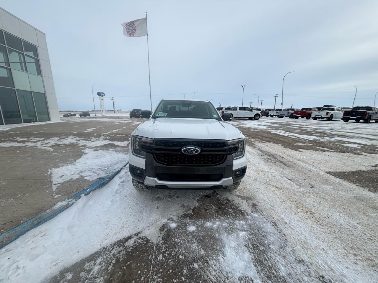 2024 Ford Ranger XLT 4WD SuperCrew 5' Box Photo4