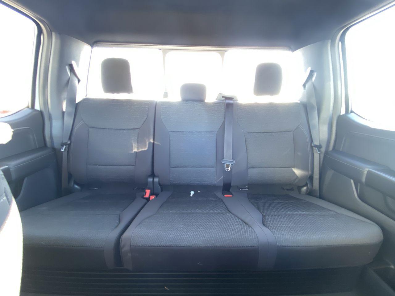 2024 Ford F-150 XLT 4WD SuperCrew 5.5' Box Photo5