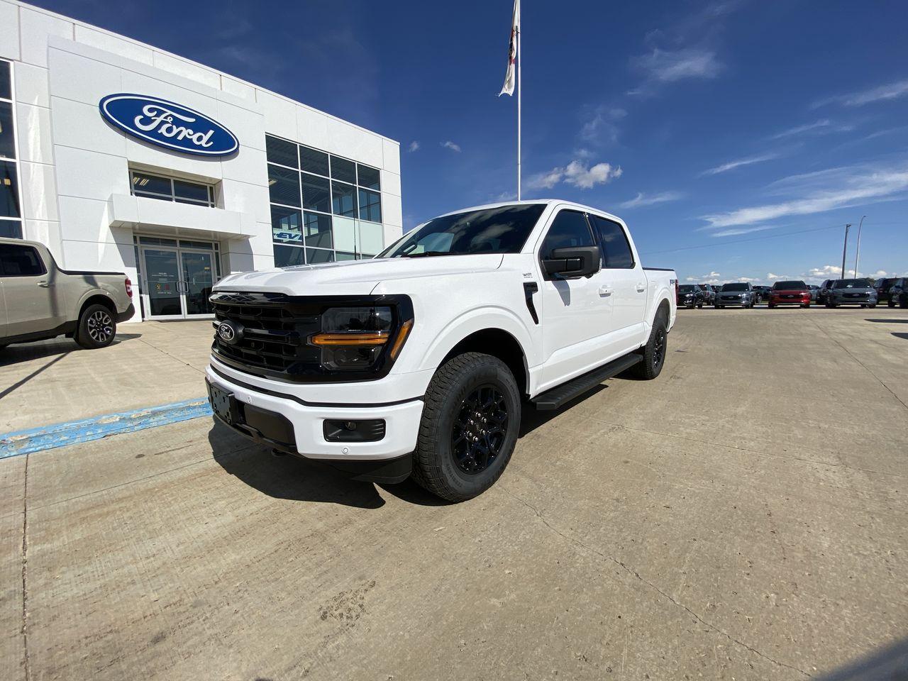 2024 Ford F-150 XLT 4WD SuperCrew 5.5' Box Photo0