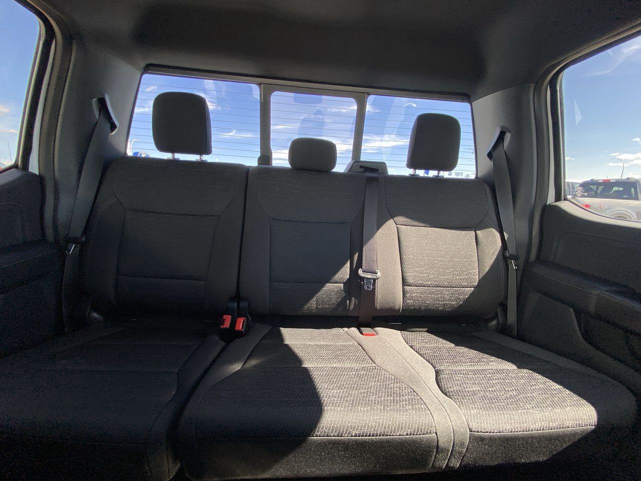 2024 Ford F-150 XLT 4WD SuperCrew 5.5' Box Photo5