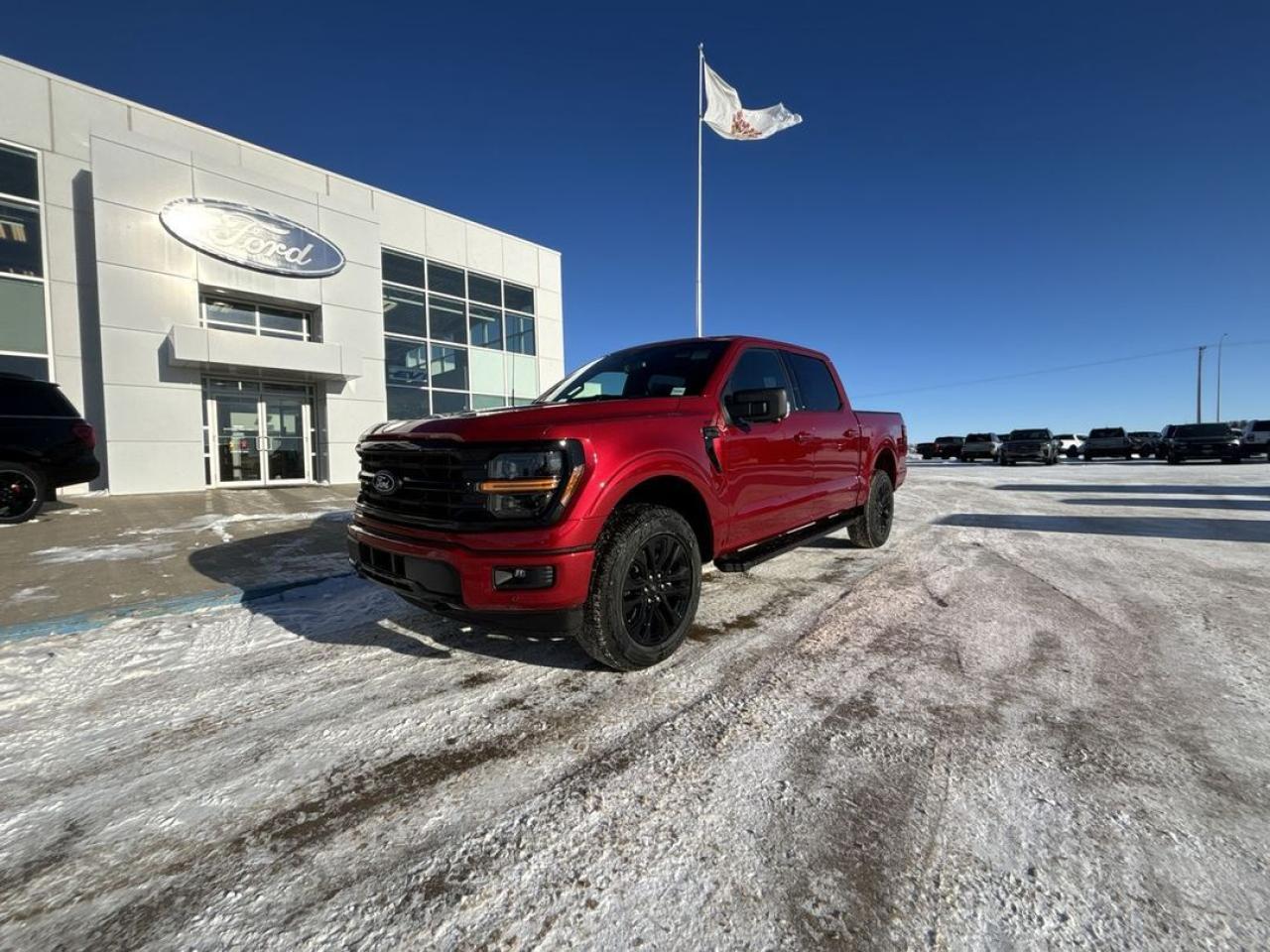 New 2025 Ford F-150 XLT for sale in Wainwright, AB