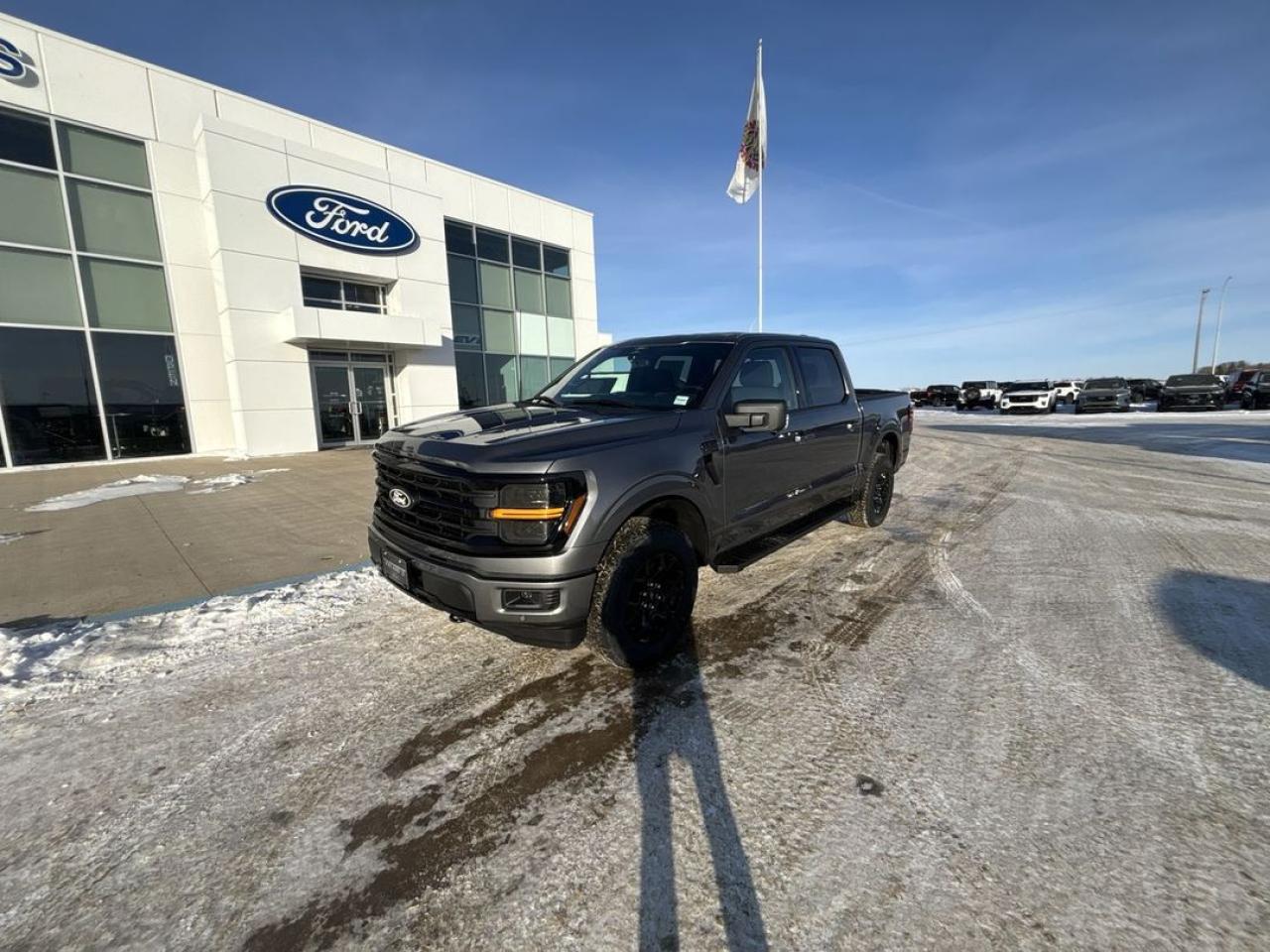 New 2025 Ford F-150 XLT for sale in Wainwright, AB