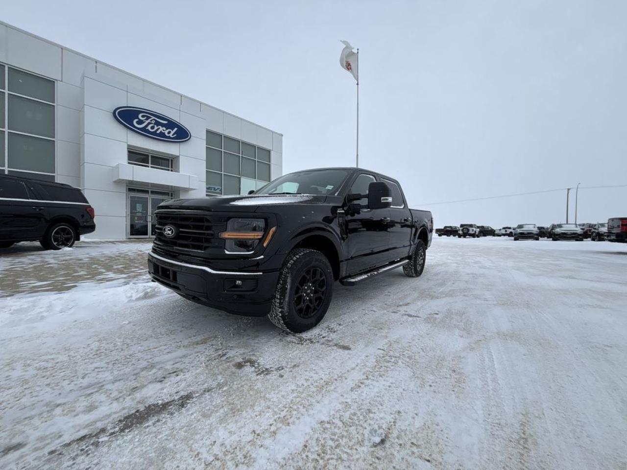 New 2025 Ford F-150 XLT for sale in Wainwright, AB